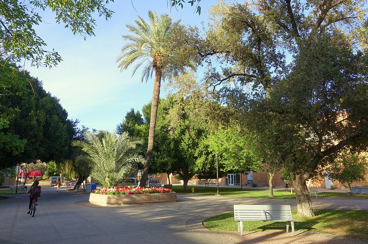Пальмовые аллеи кампуса Arizona State