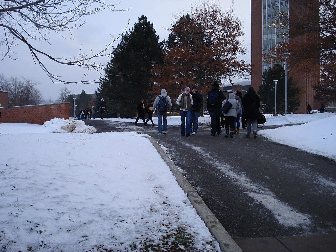 Зимняя жизнь кампуса Binghamton University