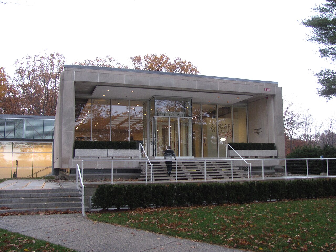 Стеклянные корпуса Brandeis University среди зелени