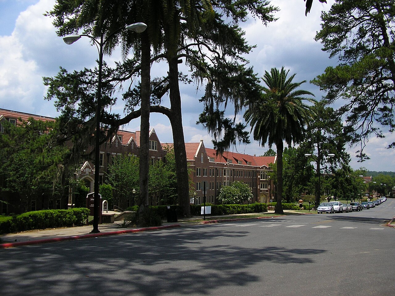 Вековые дубы на кампусе Florida State University