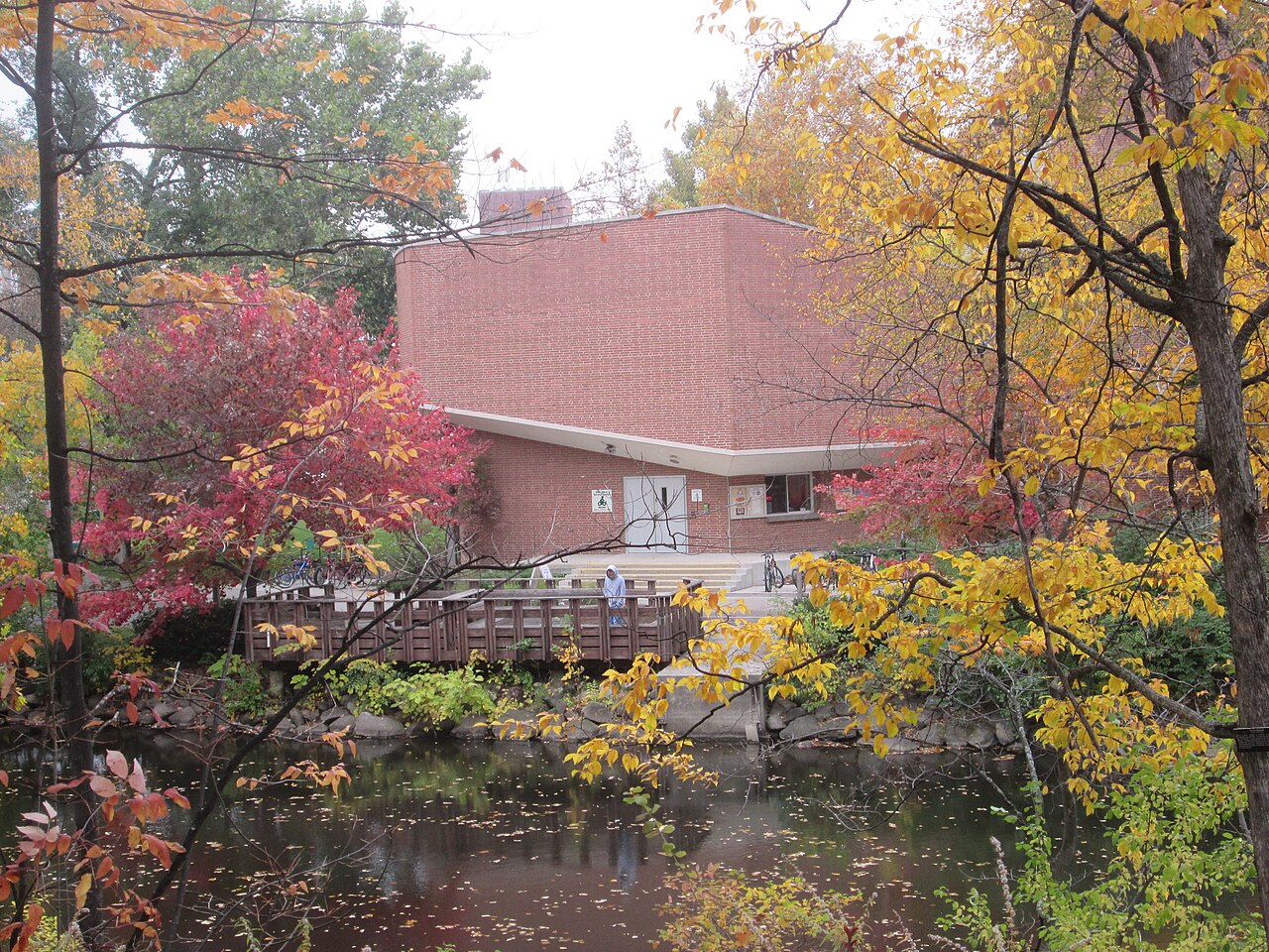 Осенний кампус Michigan State