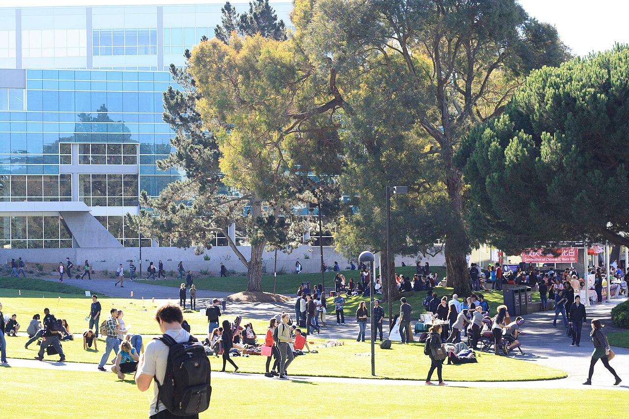 Квад со студентами, San Francisco State University