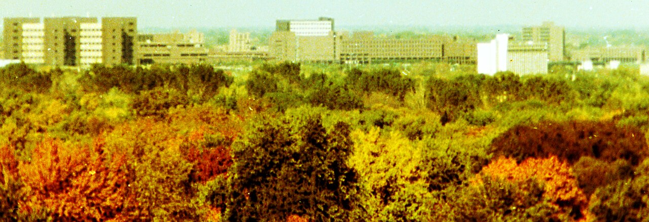 Осенний кампус University at Buffalo