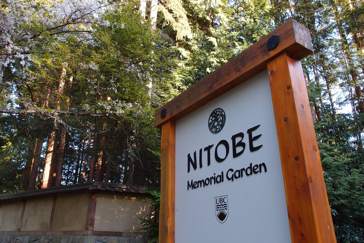 Японский сад Nitobe Memorial Garden на территории кампуса UBC