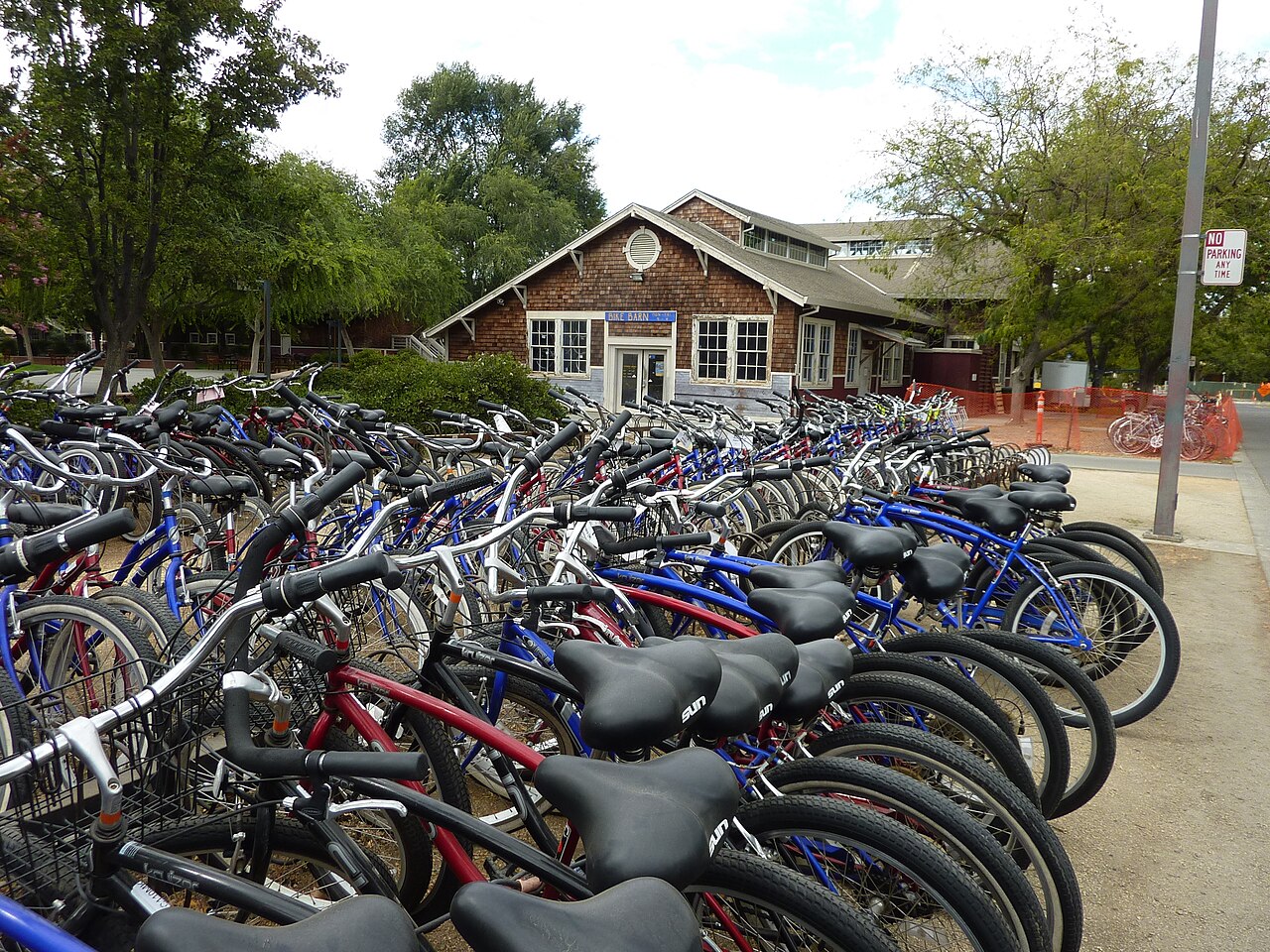 Велосипеды в кампусе UC Davis