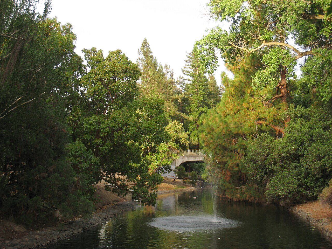 Дендрарий UC Davis