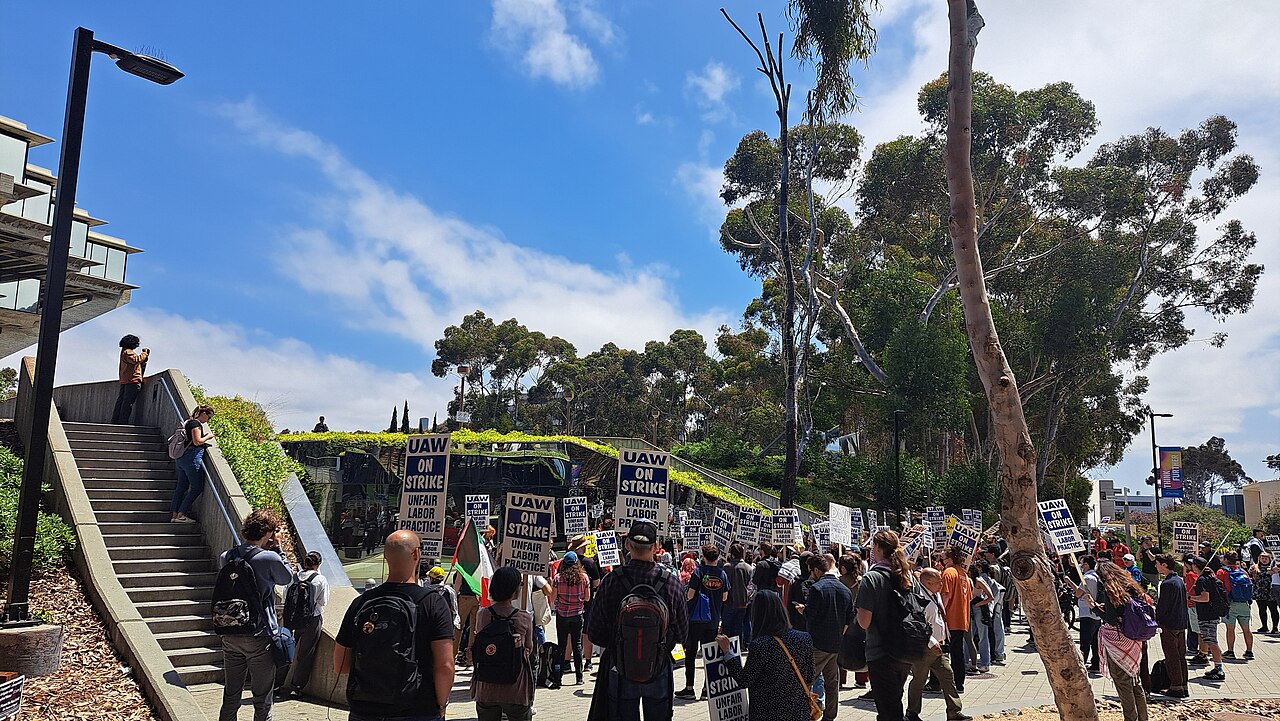 Пальмовые аллеи кампуса UC San Diego