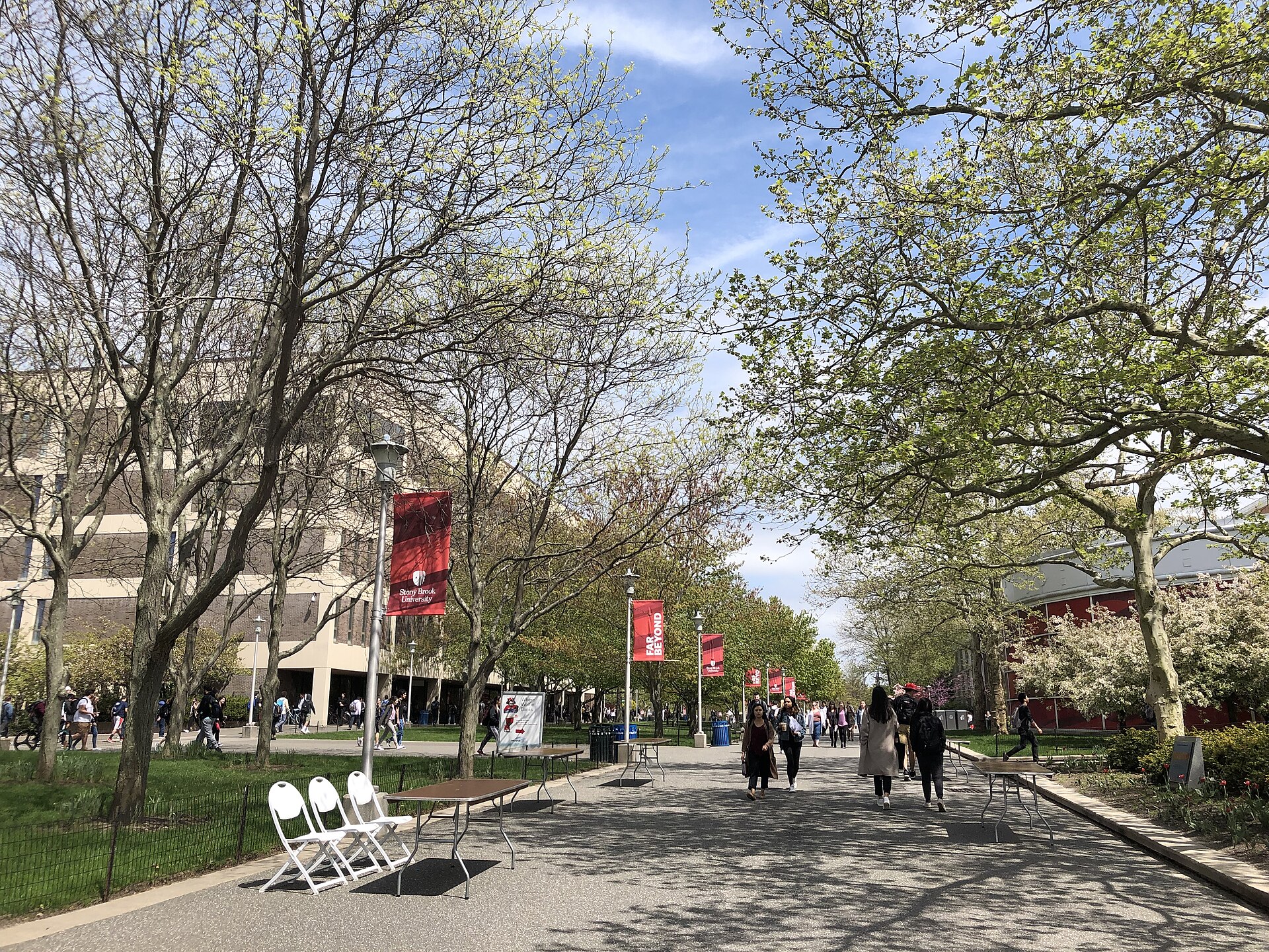 Кампус Stony Brook University