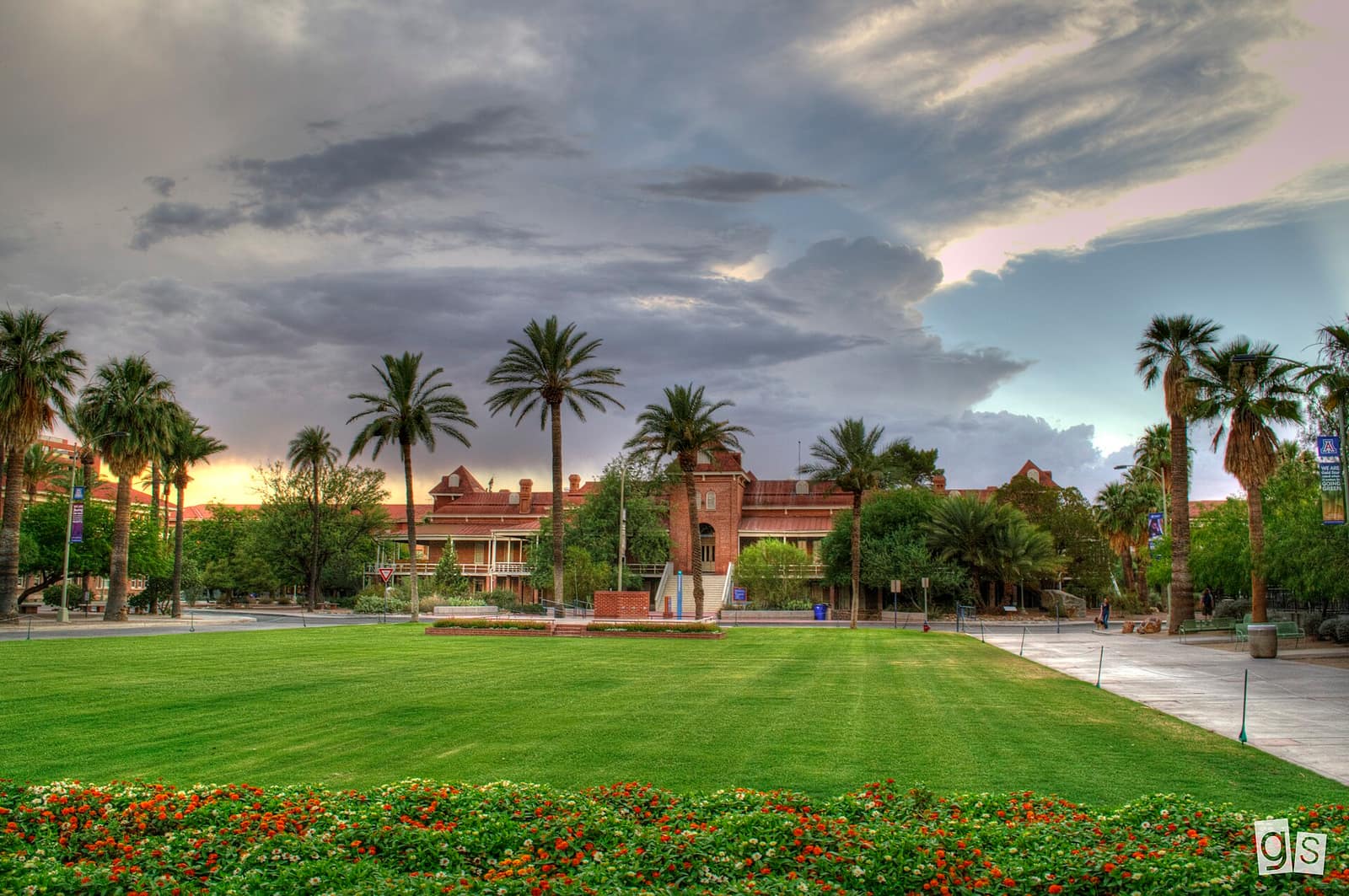 Кампус University of Arizona