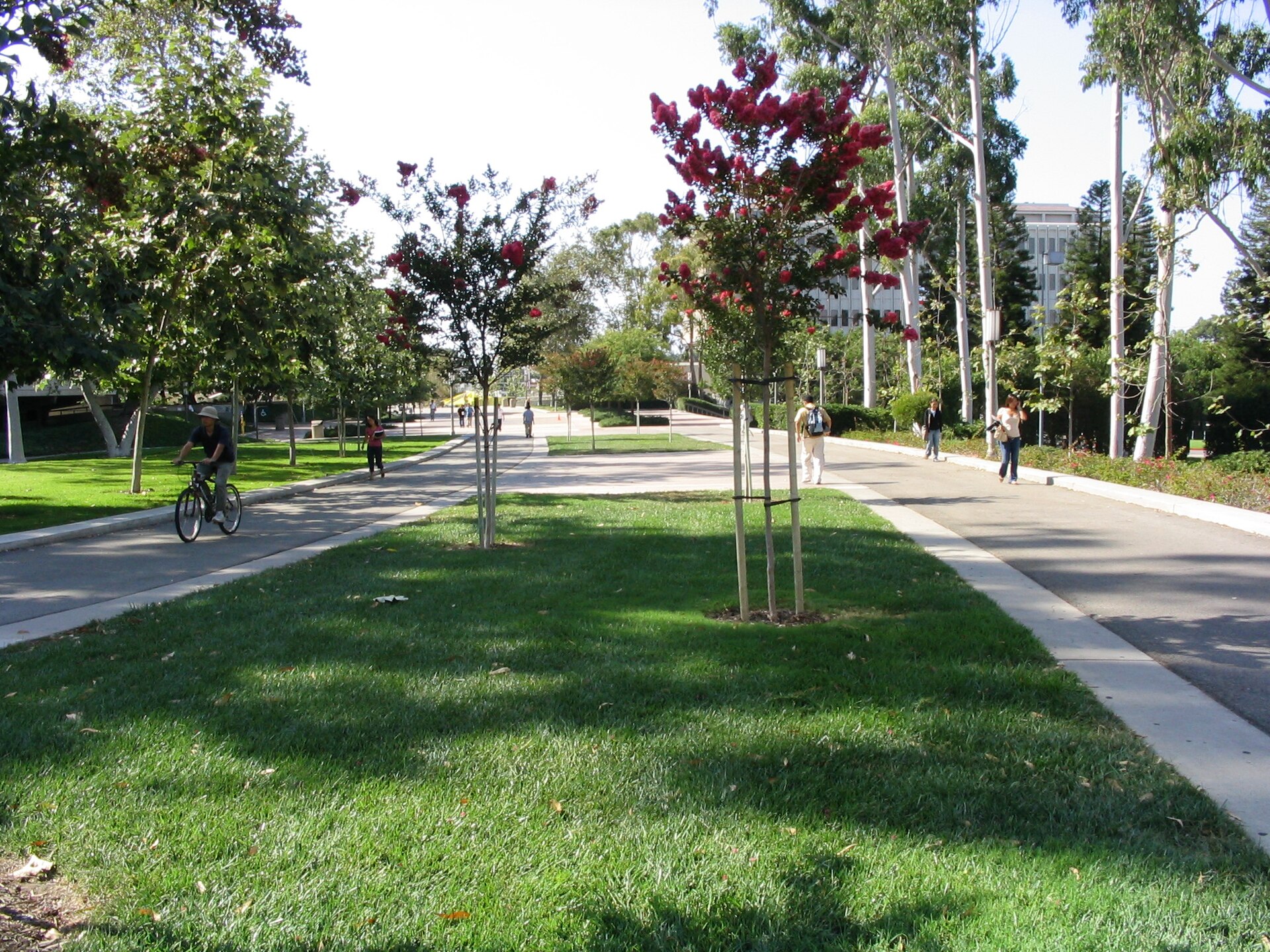 Кампус University of California, Irvine