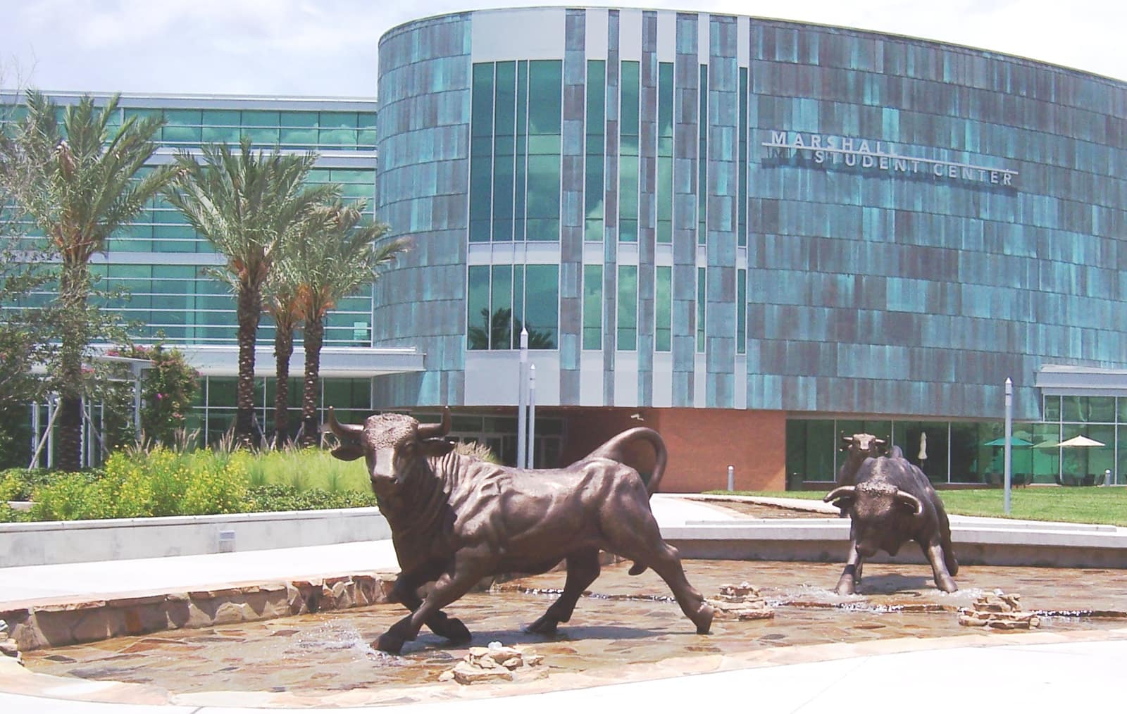Кампус University of South Florida
